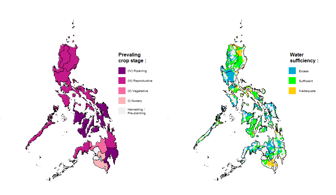 Rice Crop Stage and Water Sufficiency