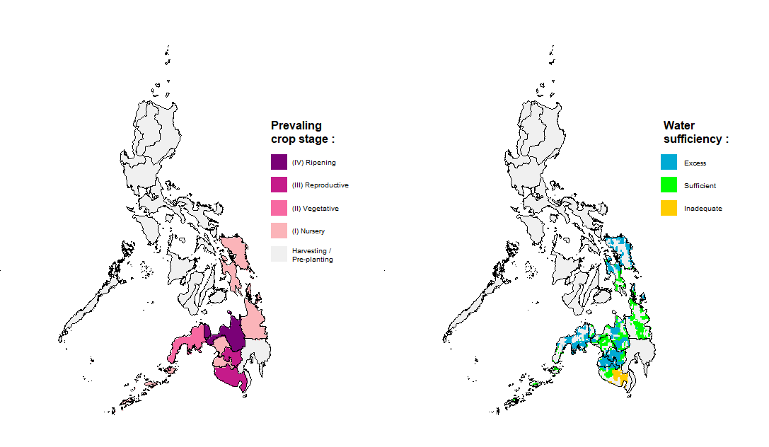 Rice Crop Stage and Water Sufficiency