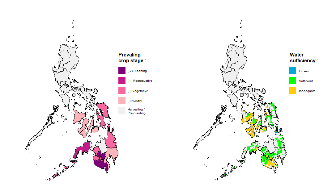 Rice Crop Stage and Water Sufficiency