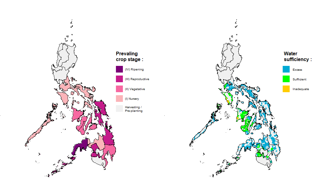 Rice Crop Stage and Water Sufficiency