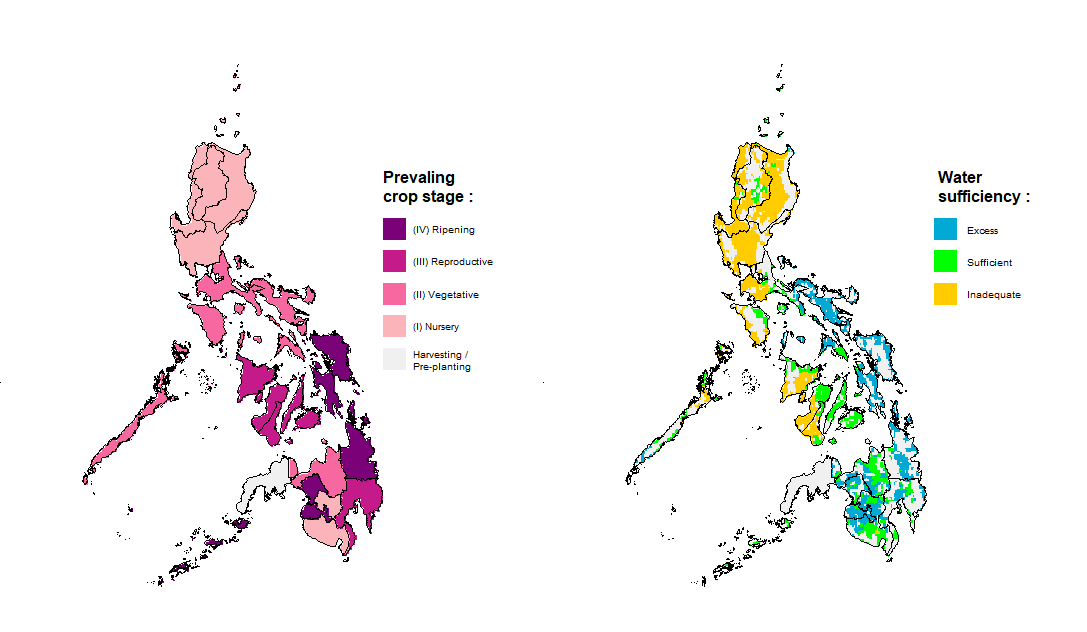 Rice Crop Stage and Water Sufficiency