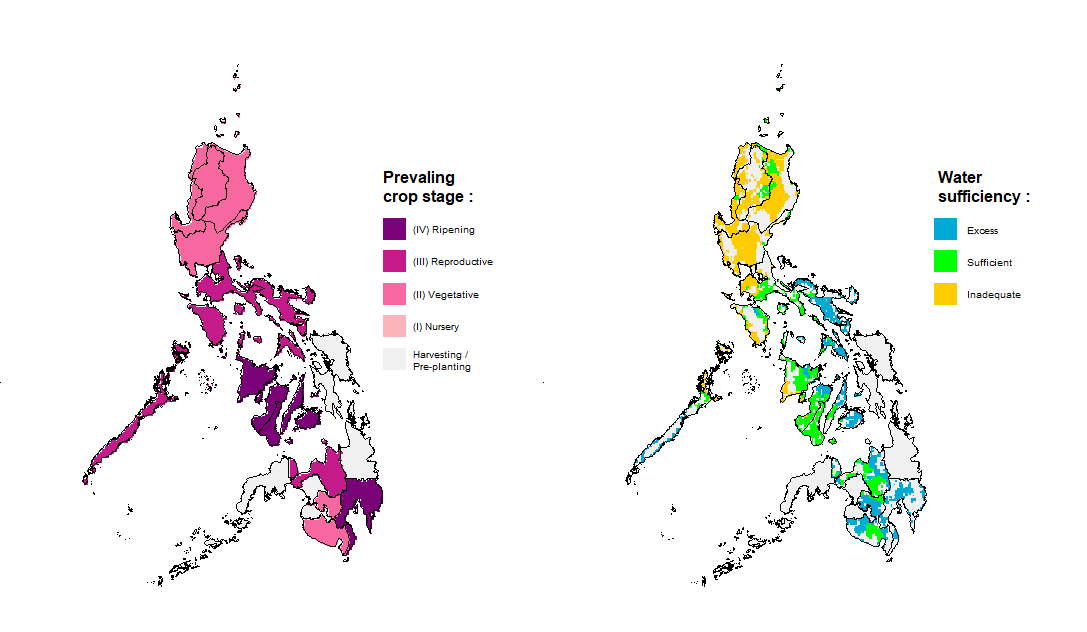 Rice Crop Stage and Water Sufficiency