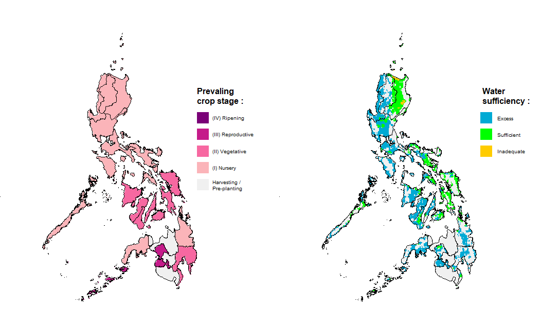 Rice Crop Stage and Water Sufficiency